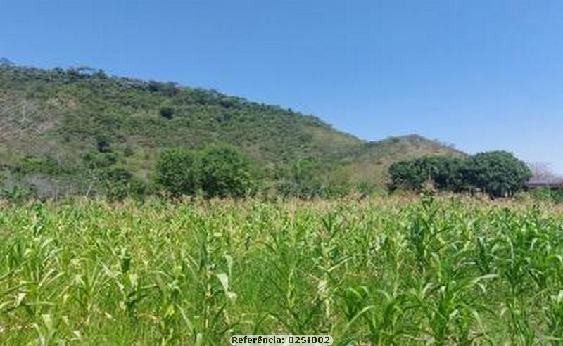 Fazenda à venda com 3 quartos, 10000m² - Foto 15