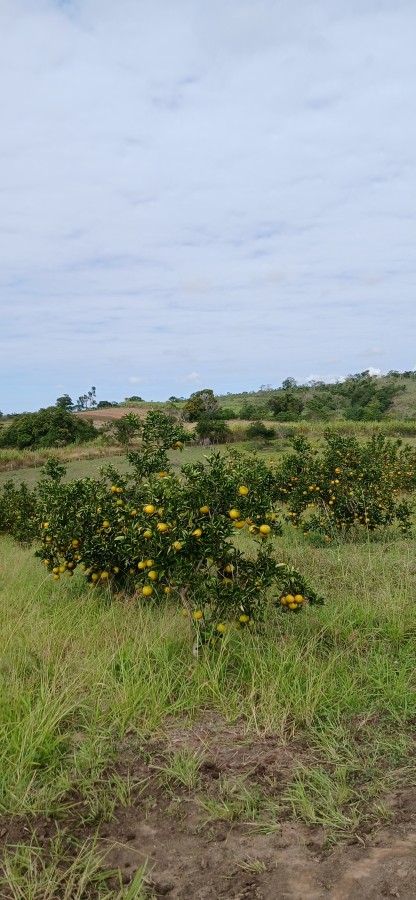 Sítio à venda com 3 quartos, 67000m² - Foto 1