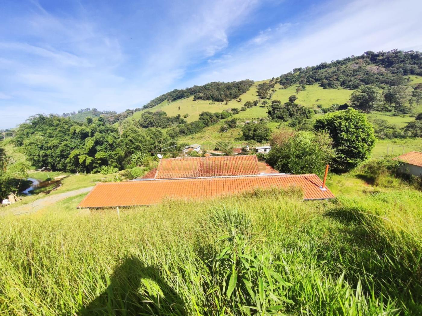 Fazenda à venda, 9000m² - Foto 9