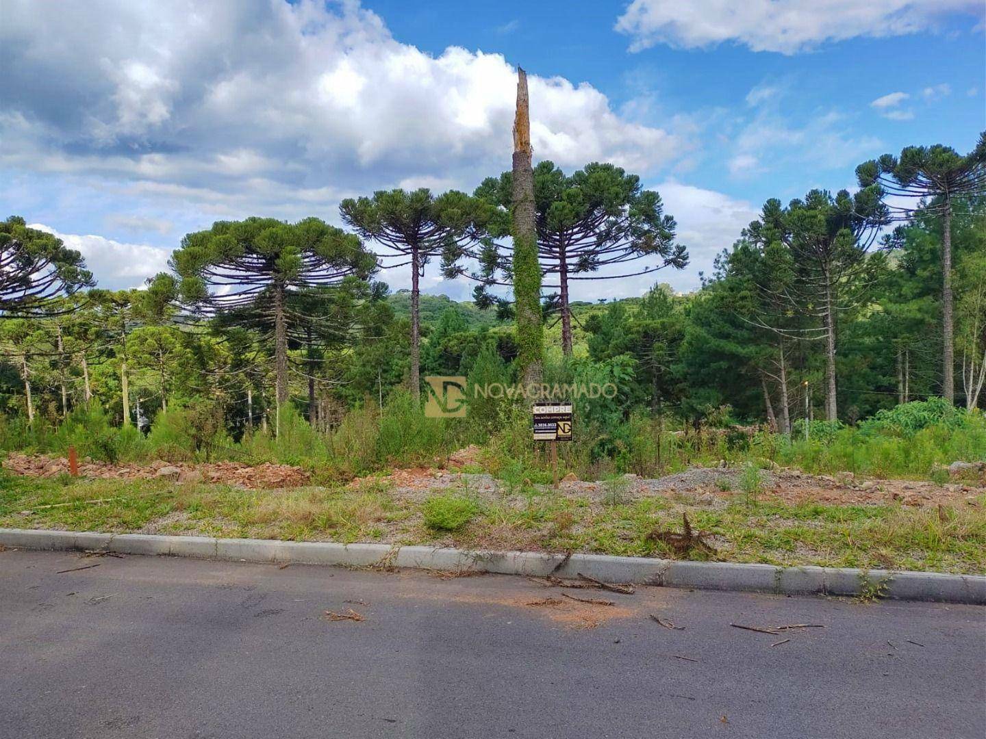 Terreno à venda, 450M2 - Foto 4