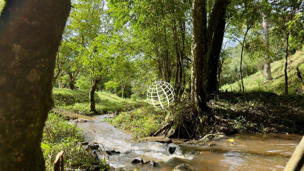 Terreno, 2 hectares - Foto 3