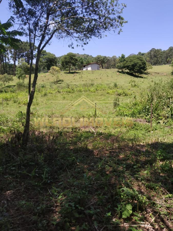 Fazenda à venda, 41000m² - Foto 21