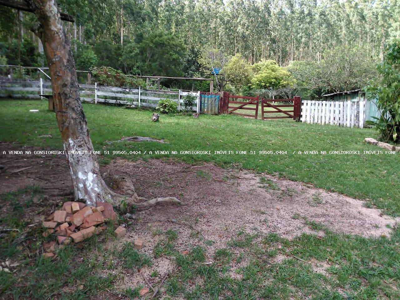 Fazenda à venda com 5 quartos, 20000m² - Foto 17