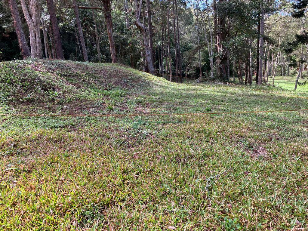 Loteamento e Condomínio à venda, 100M2 - Foto 4