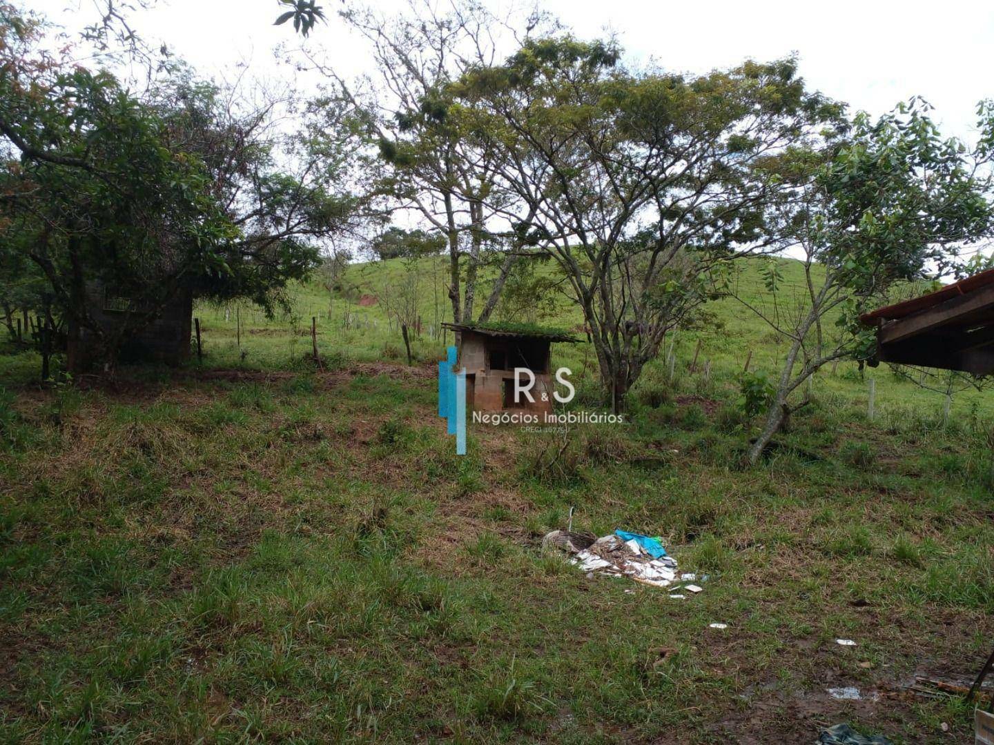 Terreno, 18 hectares - Foto 20