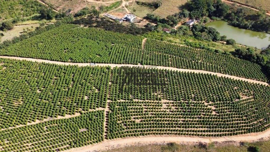 Fazenda à venda, 2420000M2 - Foto 14