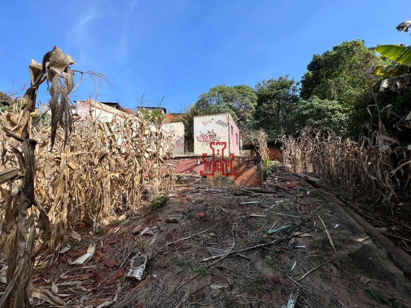 Terreno à venda, 729M2 - Foto 2