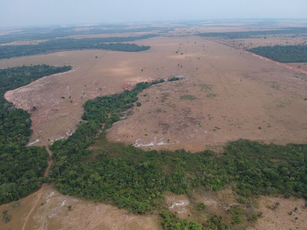 Fazenda à venda, 41140000M2 - Foto 21