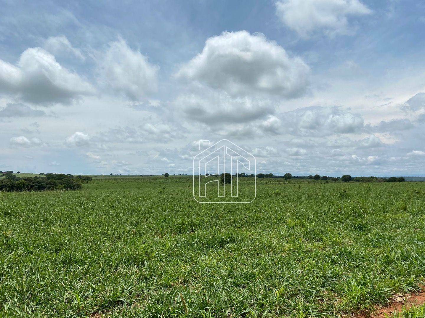 Fazenda à venda com 4 quartos, 40m² - Foto 7