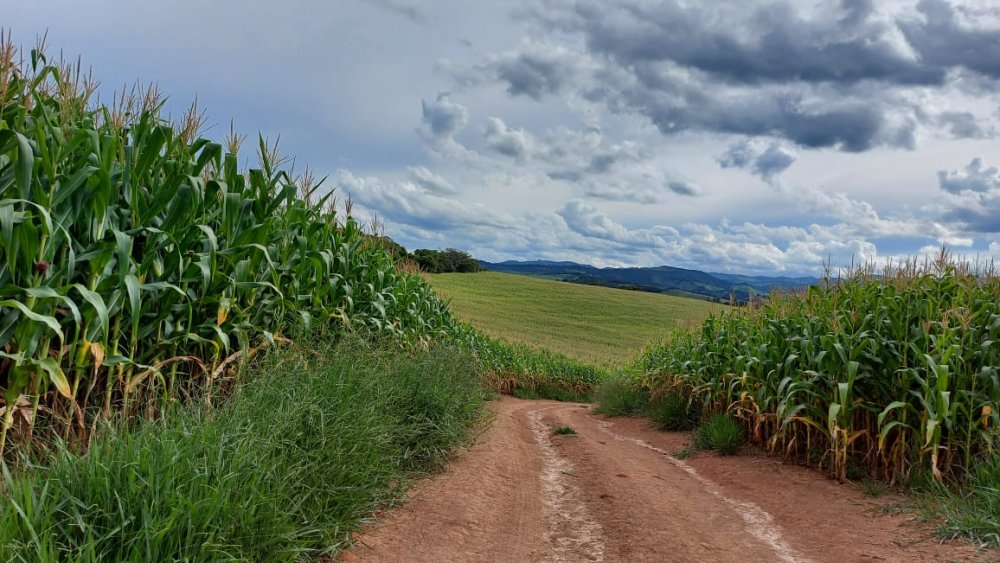 Fazenda à venda, 178m² - Foto 8