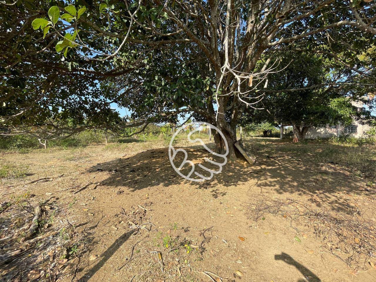 Sítio, 12 hectares - Foto 13