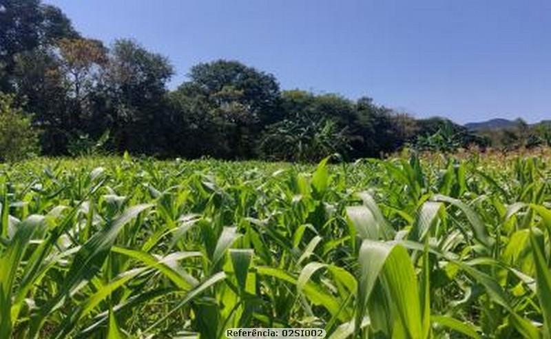 Fazenda à venda com 3 quartos, 10000m² - Foto 16