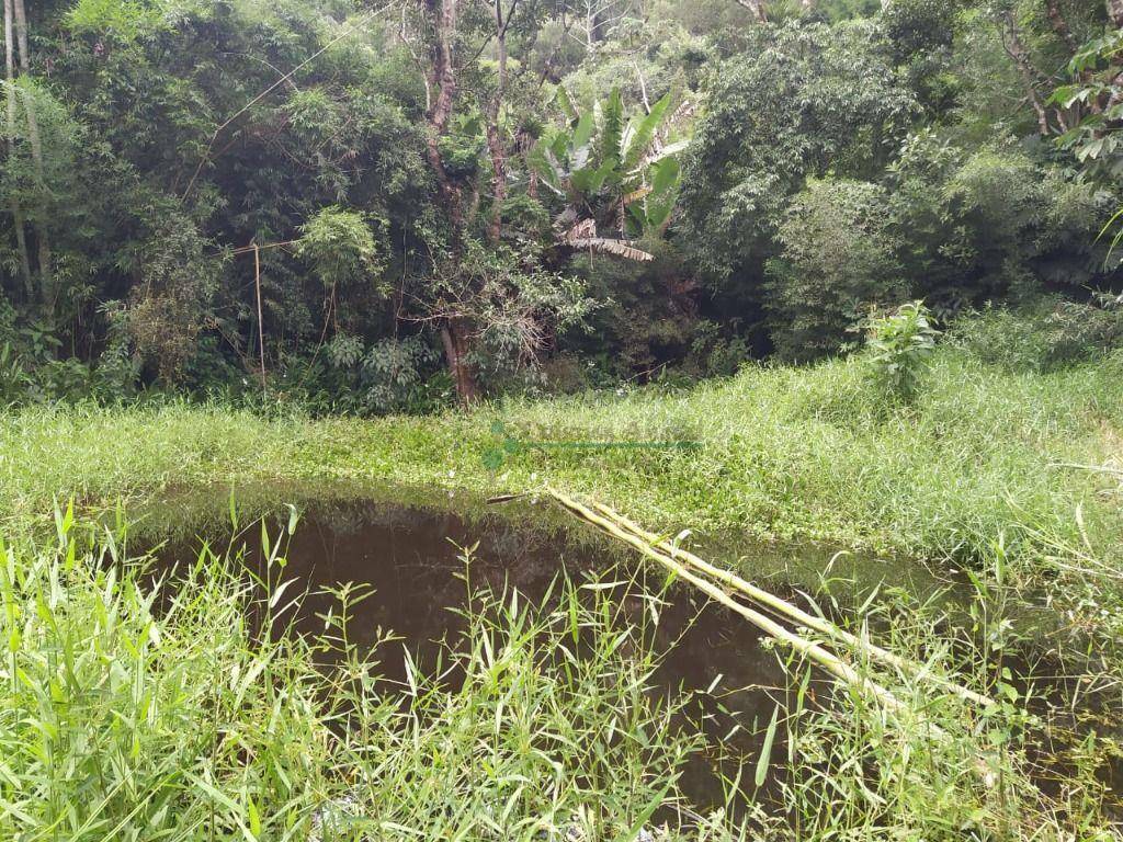 Chácara à venda com 4 quartos, 400m² - Foto 2