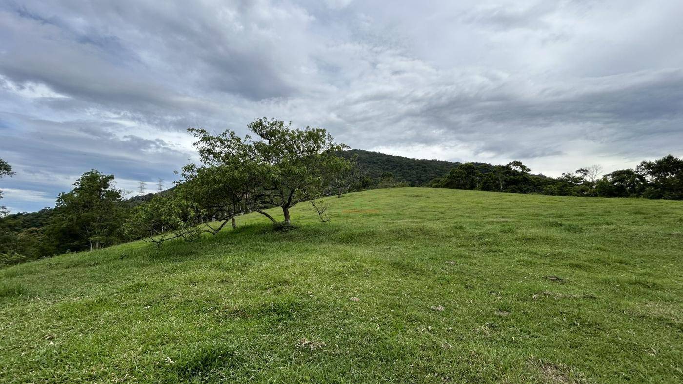 Terreno, 9 hectares - Foto 16