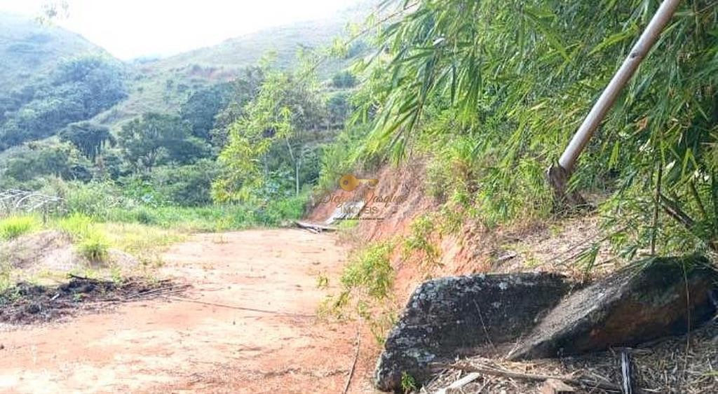 Sítio, 2 quartos, 7000 m² - Foto 6