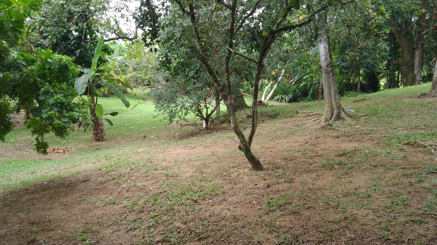 Sítio à venda, 10000m² - Foto 22