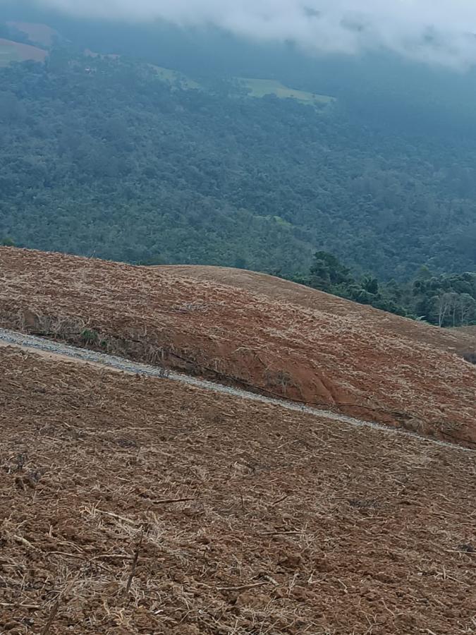 Fazenda à venda com 3 quartos, 260000m² - Foto 14