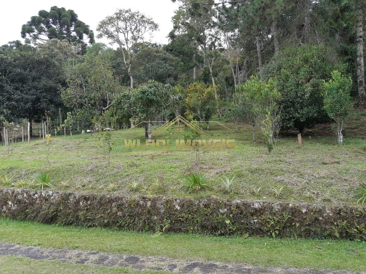 Fazenda à venda, 48400m² - Foto 12