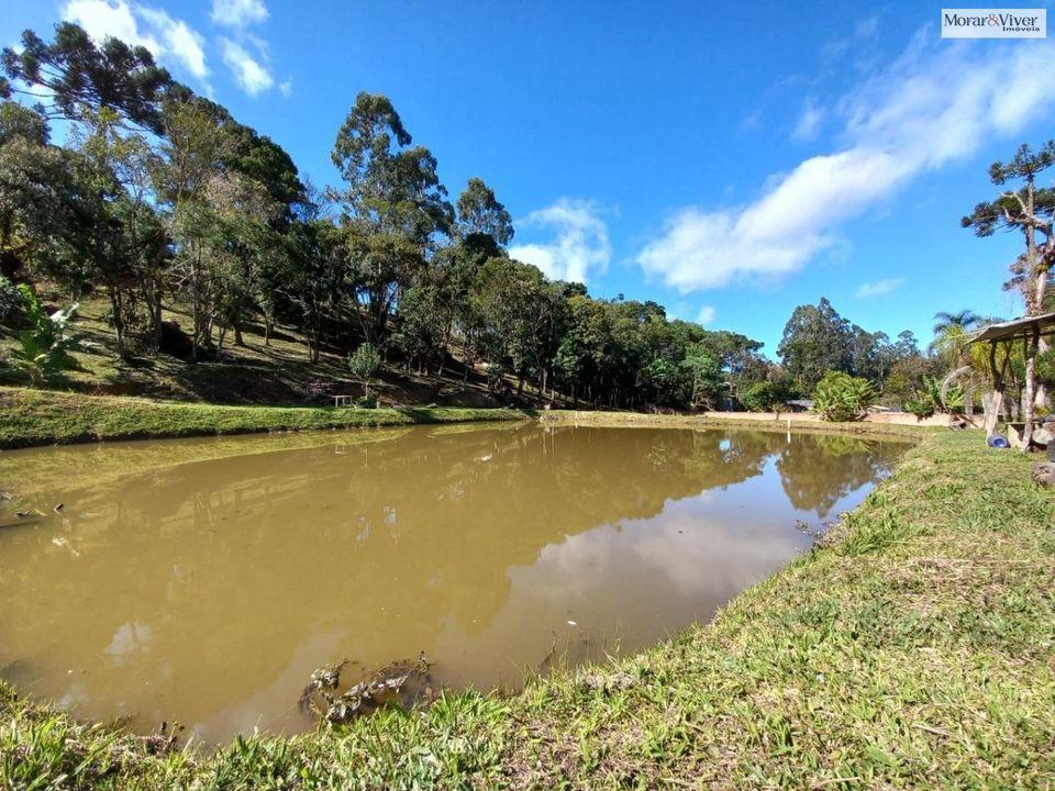 Fazenda à venda, 8000m² - Foto 5