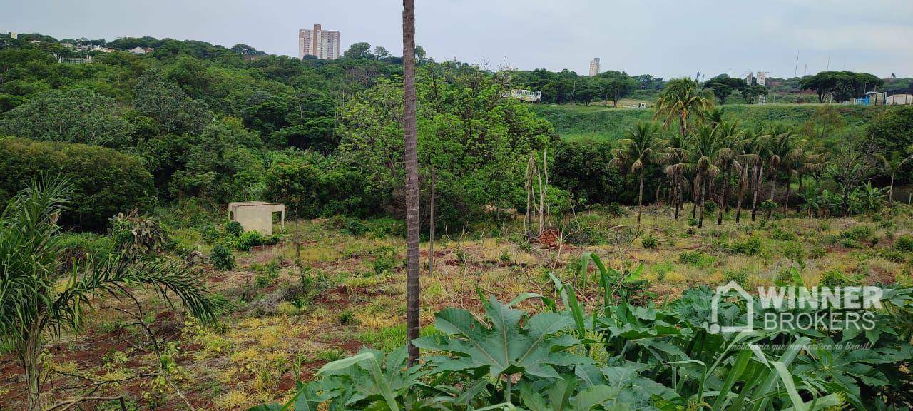 Chácara à venda com 1 quarto, 150000M2 - Foto 3