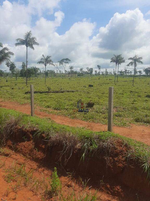 Fazenda à venda com 1 quarto, 3533200M2 - Foto 5