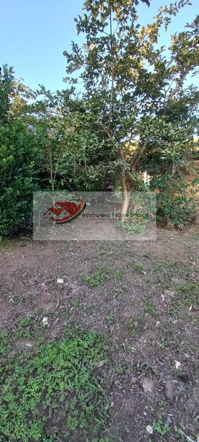 Chácara à venda com 2 quartos, 3000m² - Foto 22