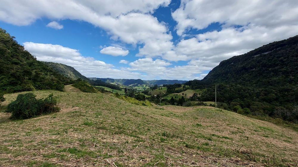 Sítio à venda - Foto 1