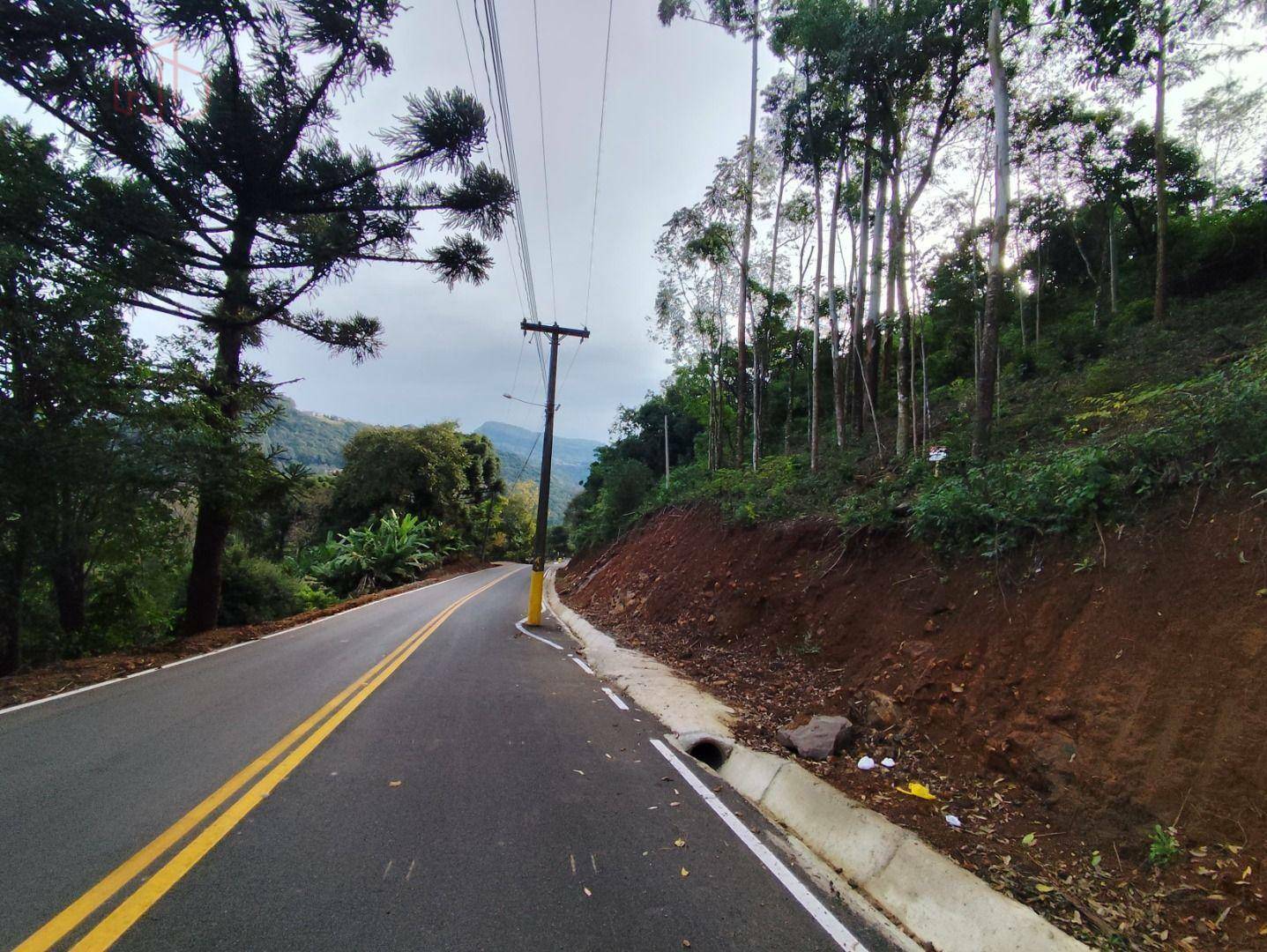 Terreno à venda, 1300M2 - Foto 5