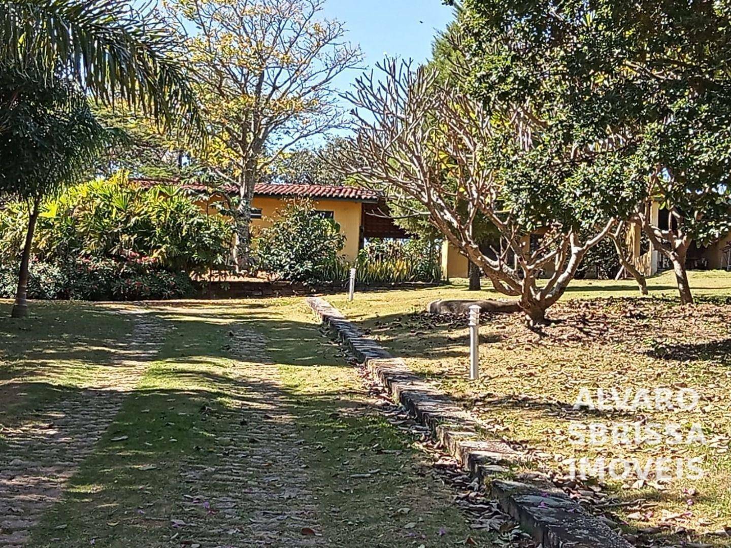 Sítio à venda com 3 quartos, 300m² - Foto 11