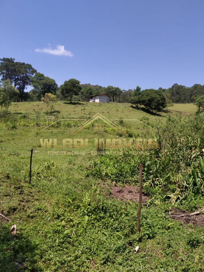 Fazenda à venda, 41000m² - Foto 11