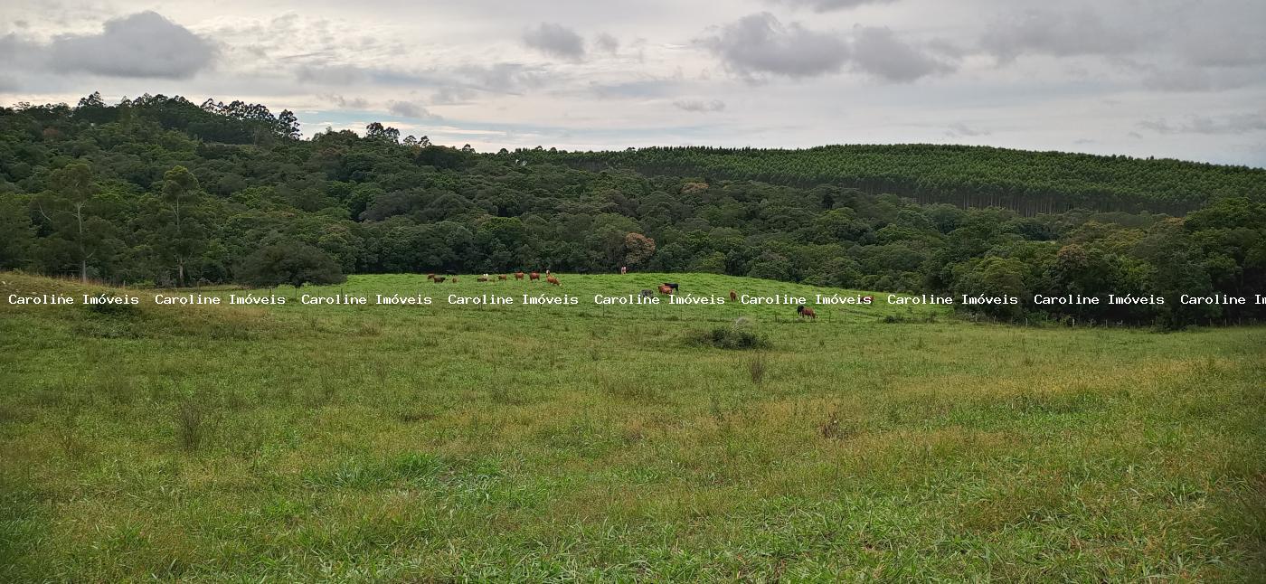 Sítio à venda com 2 quartos, 220000m² - Foto 8
