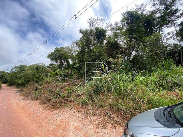 Terreno, 27 hectares - Foto 12