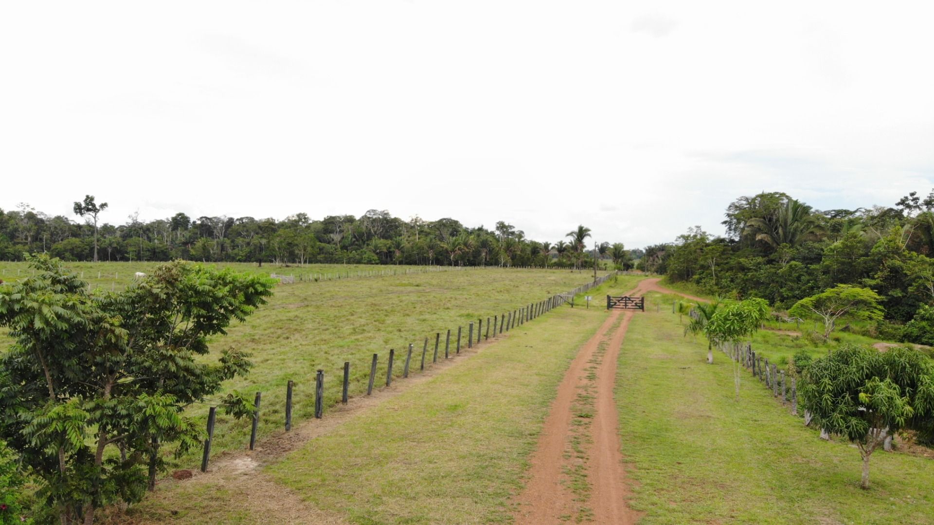 Fazenda-Sítio-Chácara, 484 hectares - Foto 2