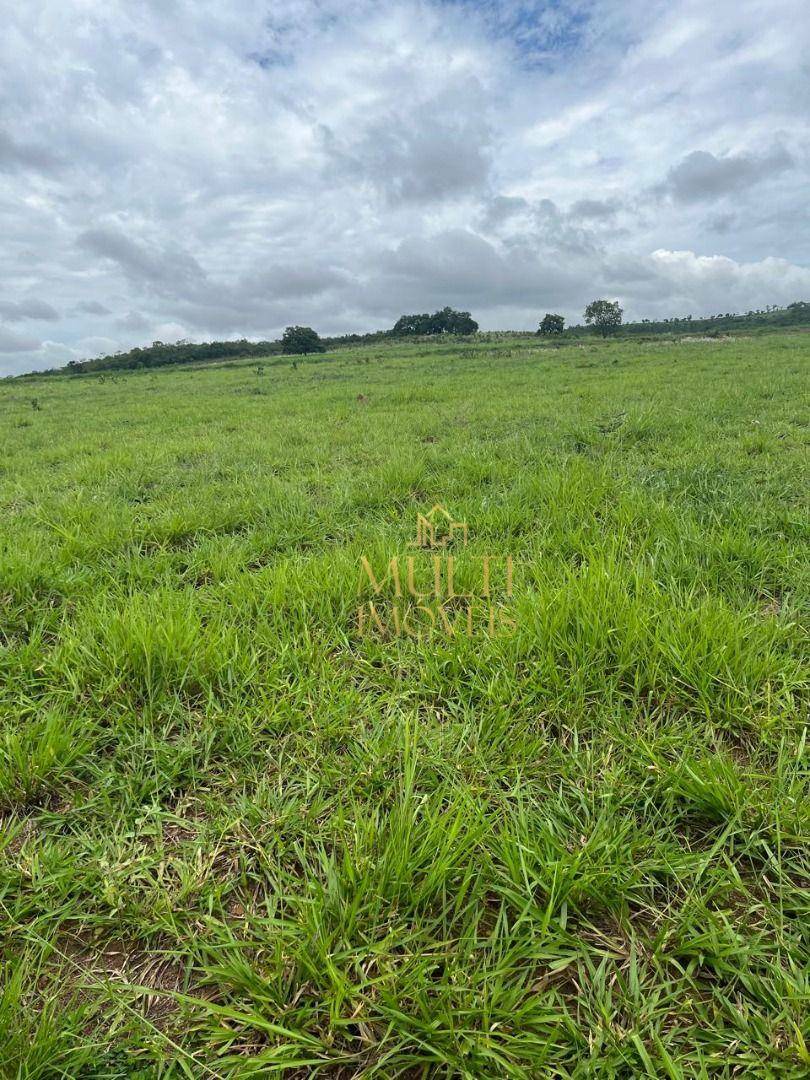 Fazenda à venda com 3 quartos, 10360000M2 - Foto 12