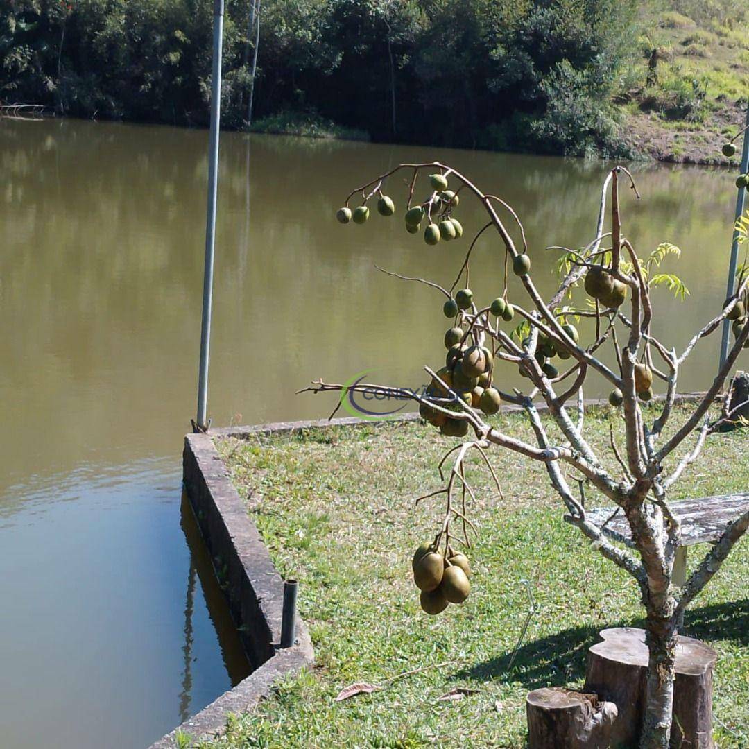 Fazenda à venda com 3 quartos, 1452000M2 - Foto 15