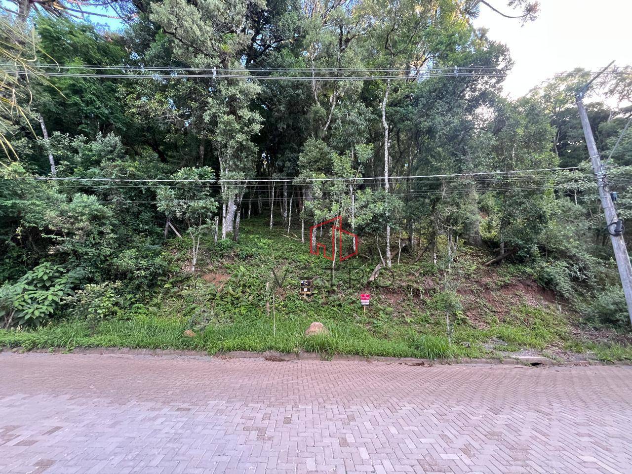 Terreno, 1125 m² - Foto 1