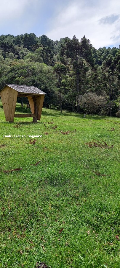 Terreno à venda - Foto 25