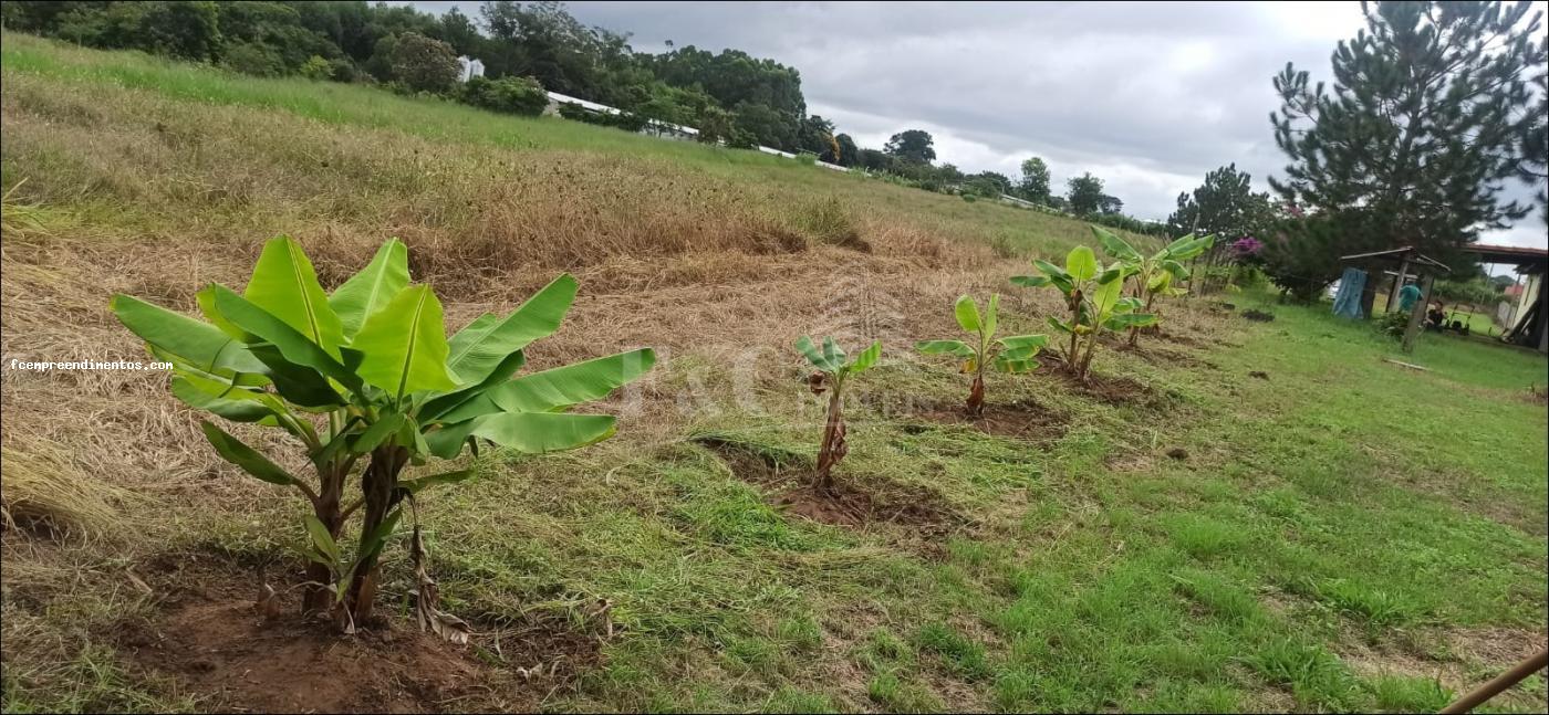 Terreno à venda, 64000m² - Foto 18