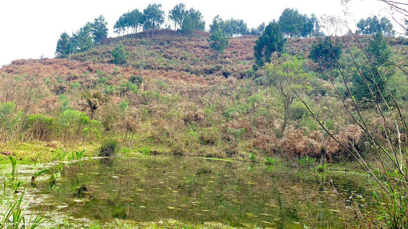 Fazenda à venda com 3 quartos, 83000m² - Foto 16