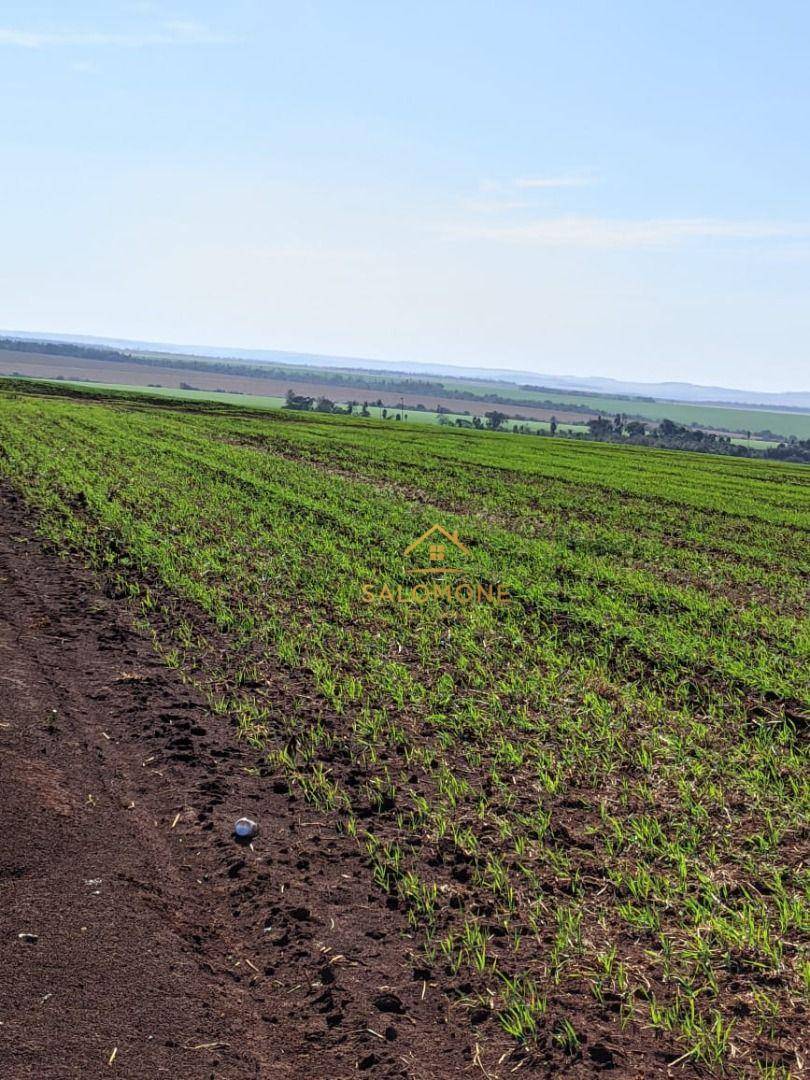 Fazenda, 900 hectares - Foto 3