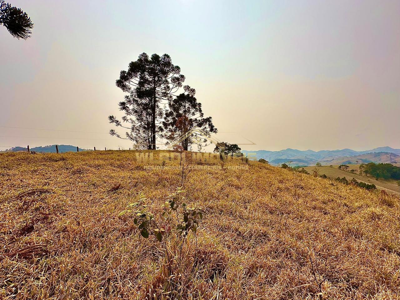 Terreno à venda, 20000m² - Foto 2