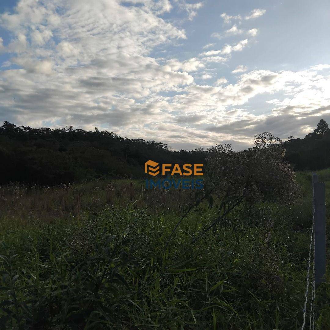 Loteamento e Condomínio à venda, 2940M2 - Foto 5