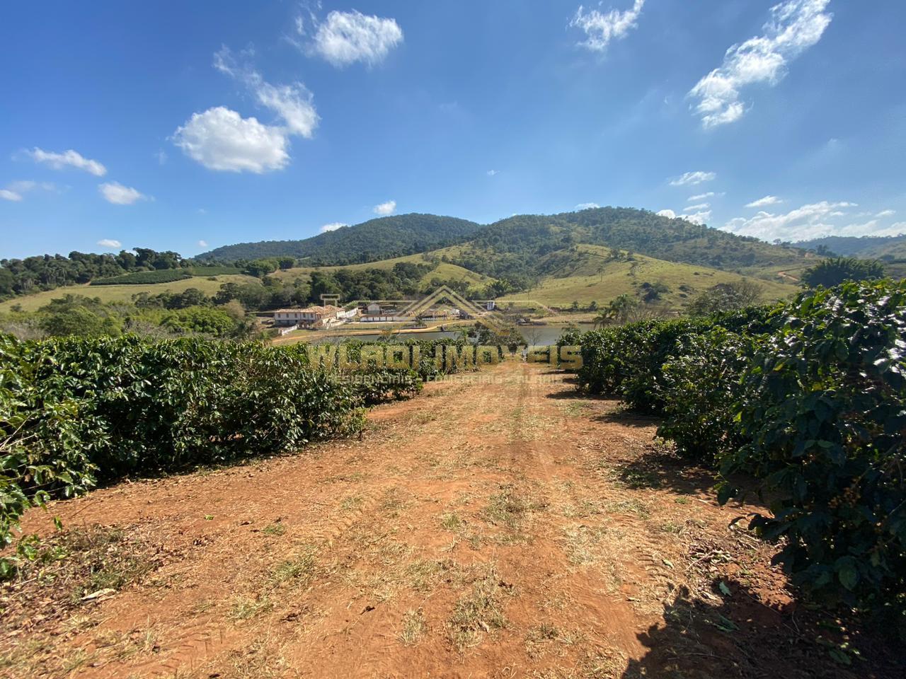 Fazenda à venda, 245m² - Foto 4