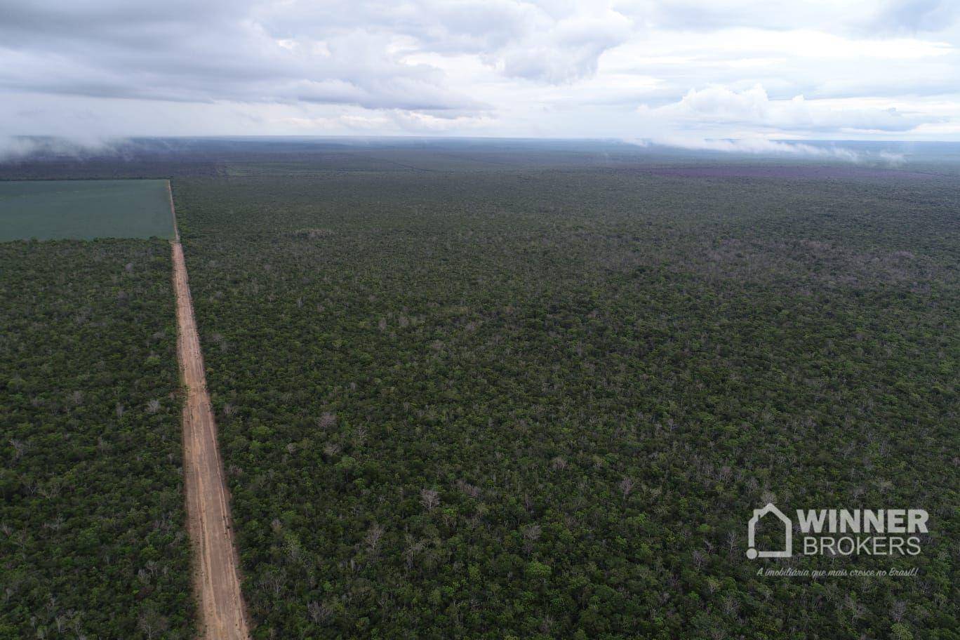 Fazenda-Sítio-Chácara, 563 hectares - Foto 6