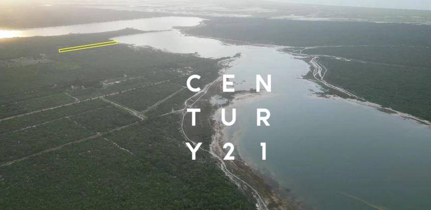 Terreno, 2 hectares - Foto 3