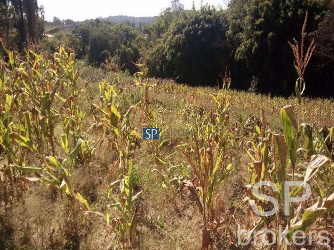 Terreno à venda, 108000M2 - Foto 4