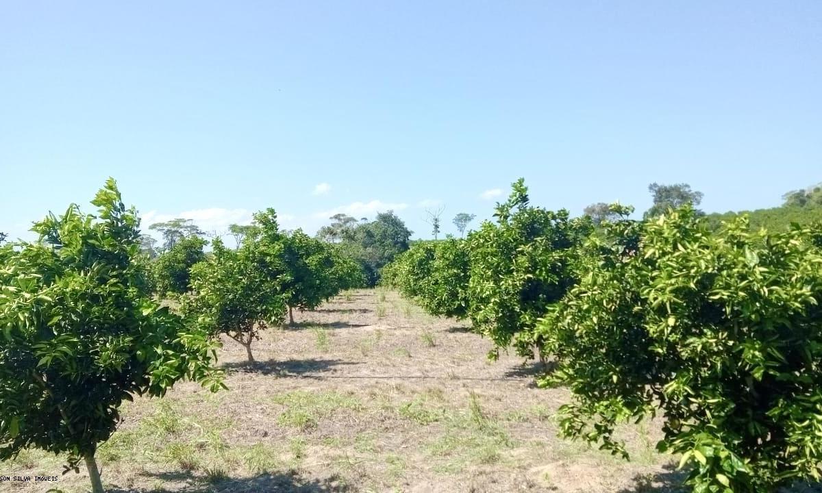 Fazenda à venda, 500000m² - Foto 4