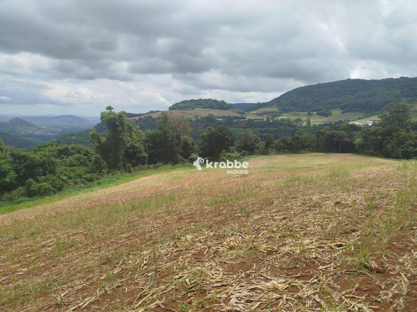 Terreno à venda, 51600M2 - Foto 3