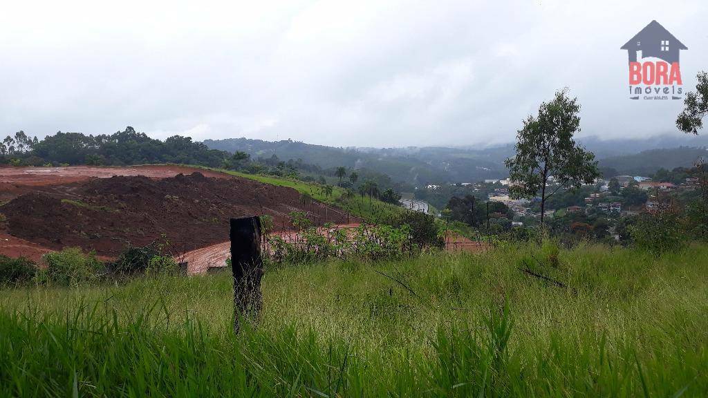 Terreno à venda, 7400M2 - Foto 8