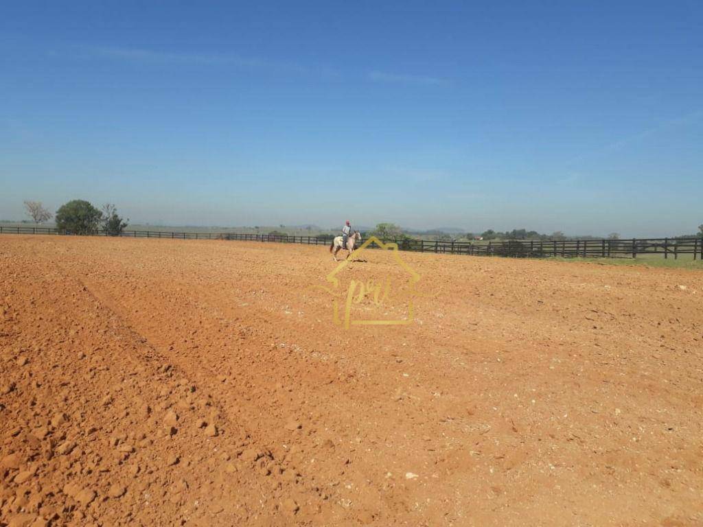 Haras e Área Rural Padrão à venda com 4 quartos, 1000m² - Foto 12